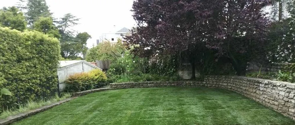 Professional outdoor landscaping in Concord, CA - Benito Landscaping and Garden Services