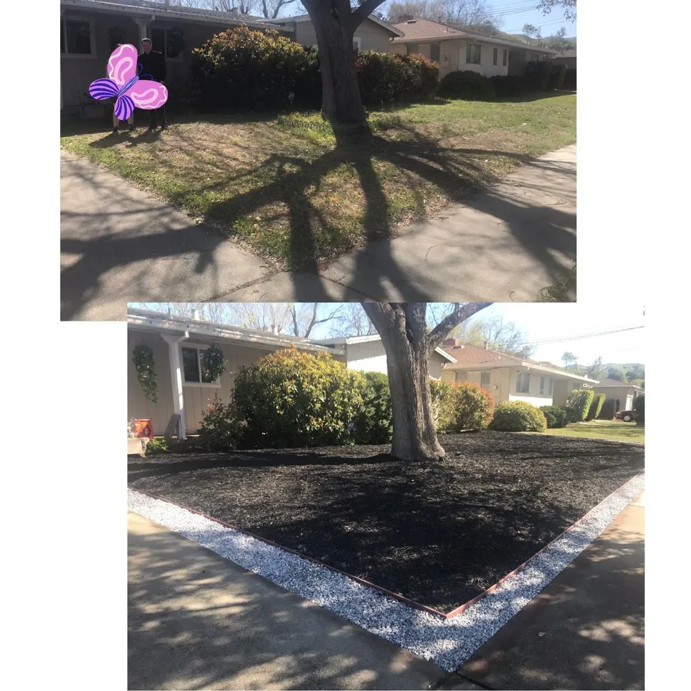 Professional landscape installation for residential properties across Concord, CA - Benito Landscaping and Garden Services