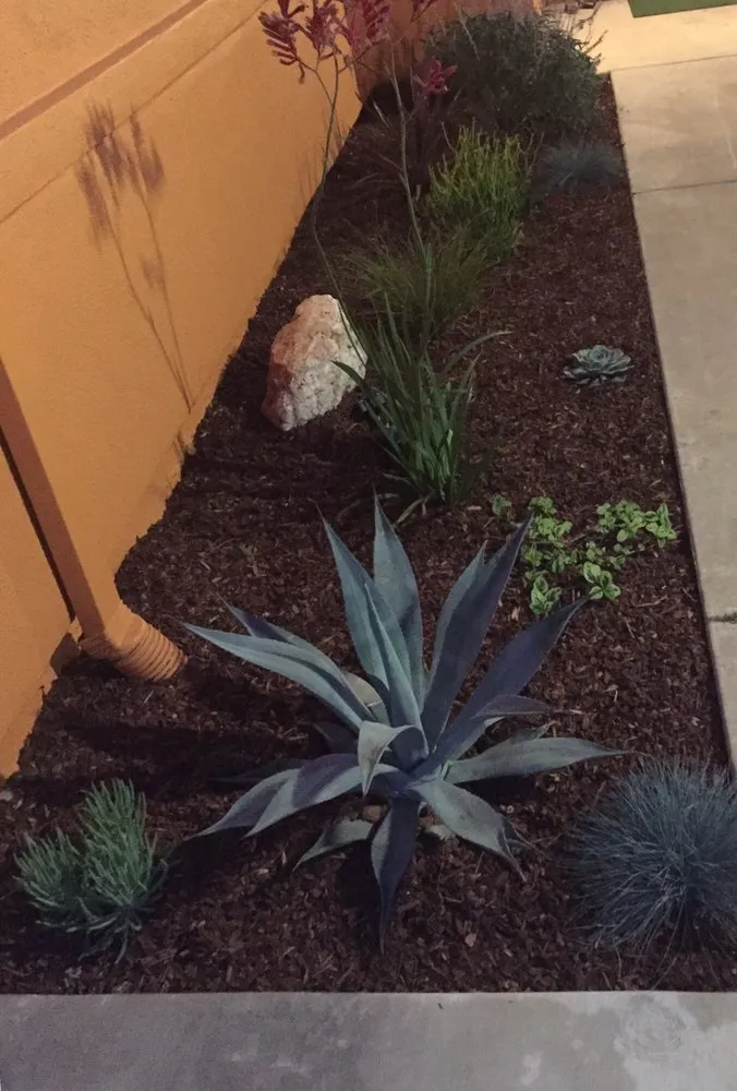 Affordable yard cleanup service in Concord, CA by Benito Landscaping and Garden Services