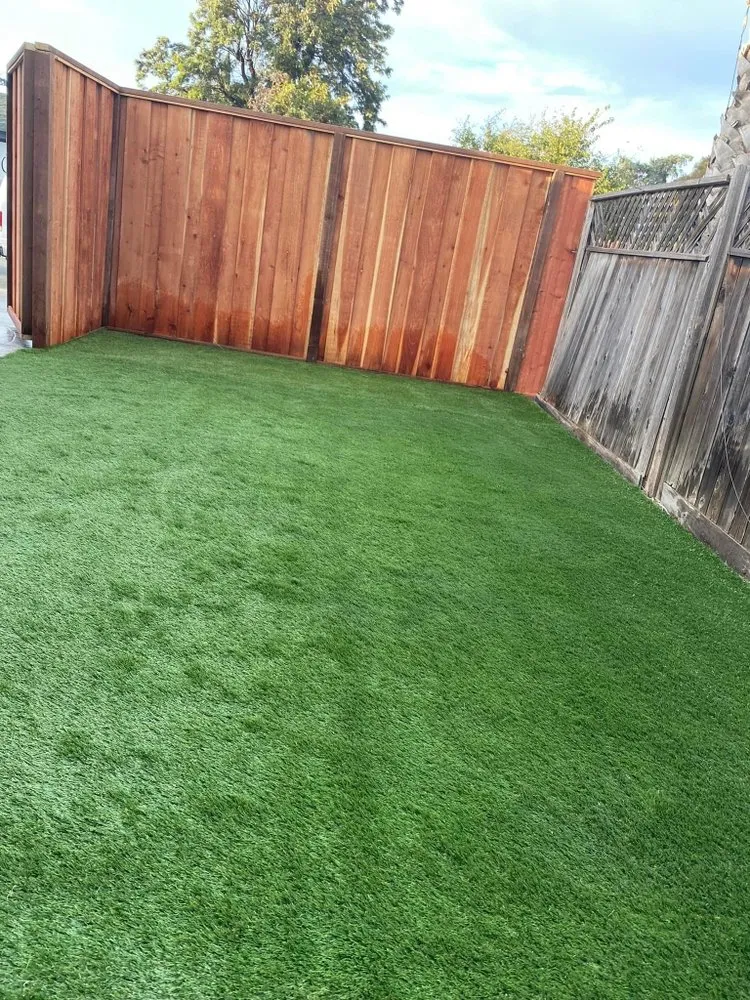 Affordable yard maintenance in Concord, CA by Benito Landscaping and Garden Services