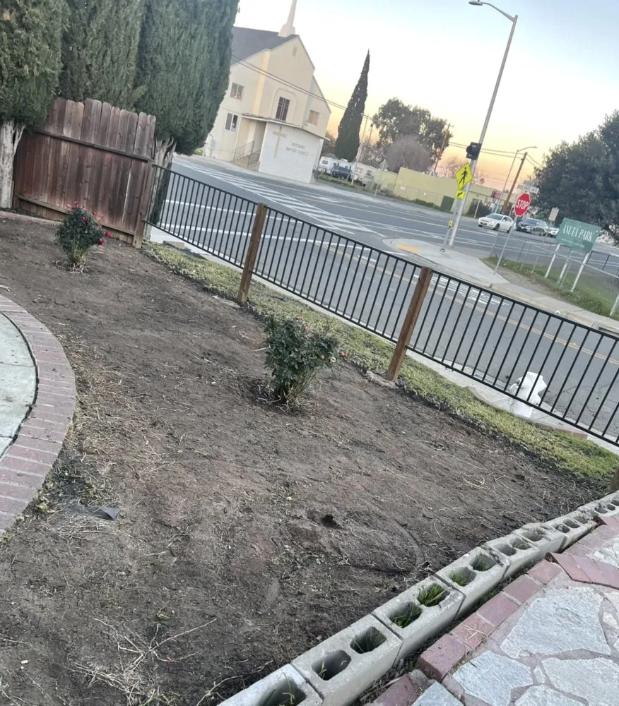 Trusted landscaping services experts serving Concord, CA - Benito Landscaping and Garden Services