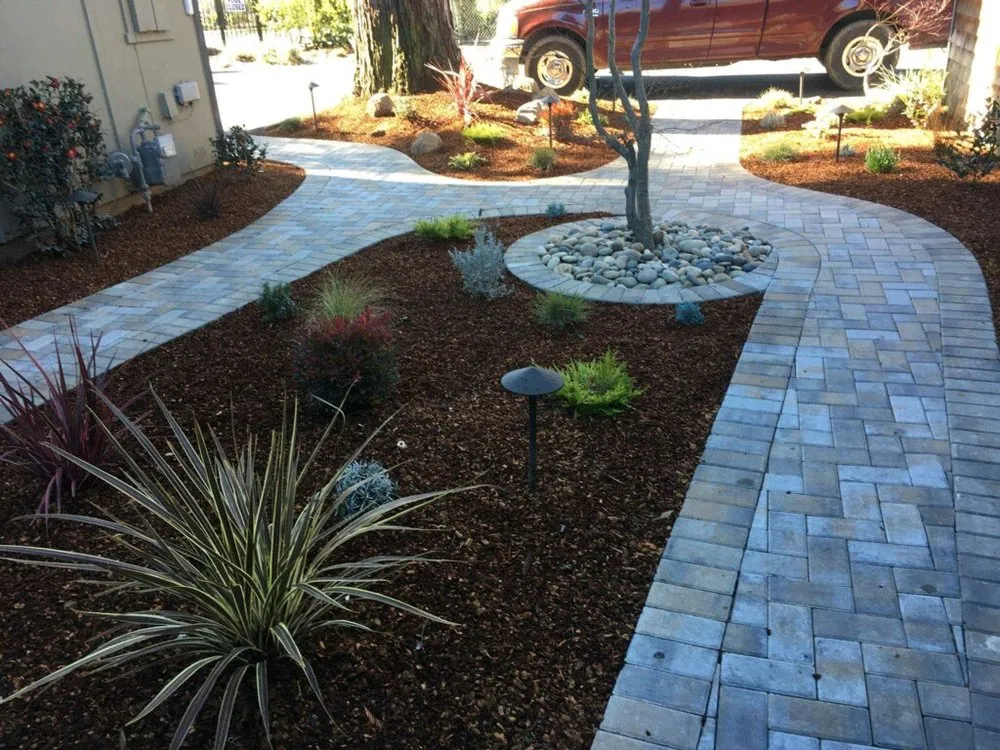 Local yard cleanup service for homes in Concord, CA by Benito Landscaping and Garden Services