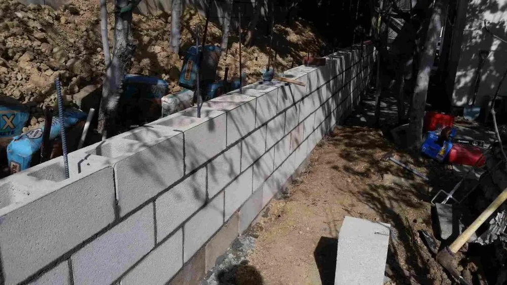 Professional yard cleanup service for beautiful yards in San Diego, CA by Benito Zamora Construction