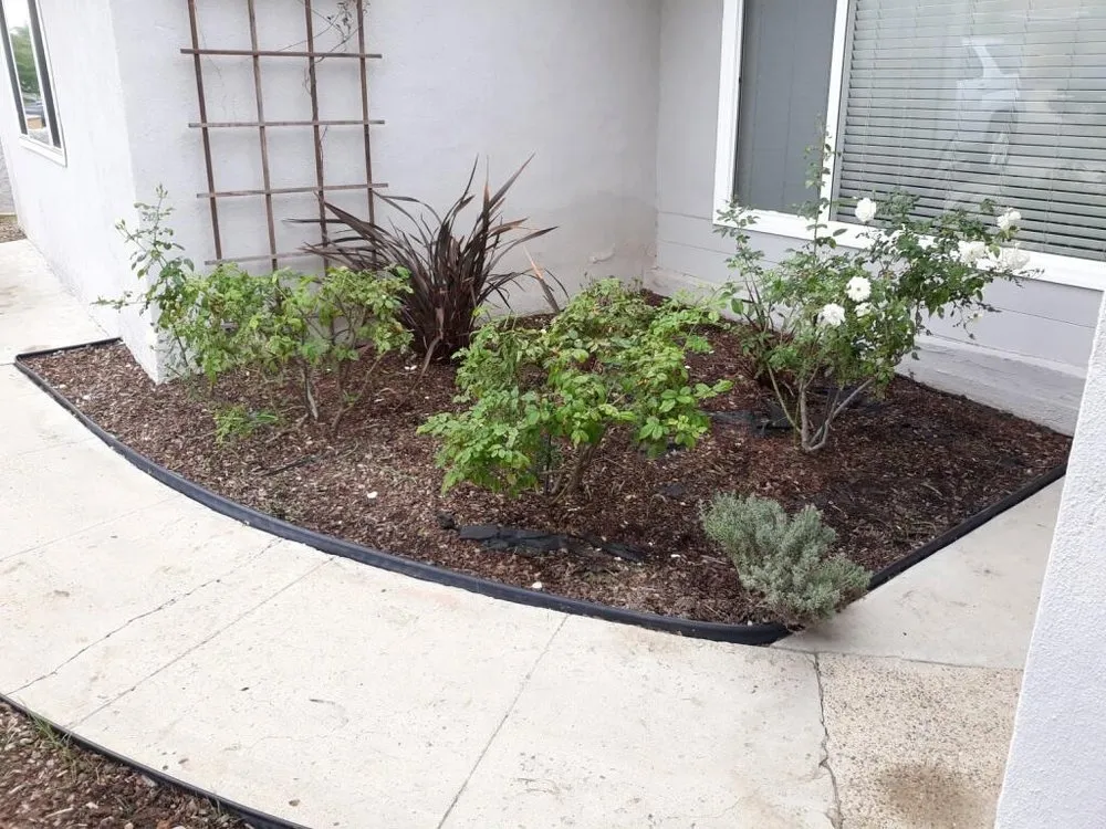 Top-rated lawn care service for residential properties in San Diego, CA by Benito Zamora Construction