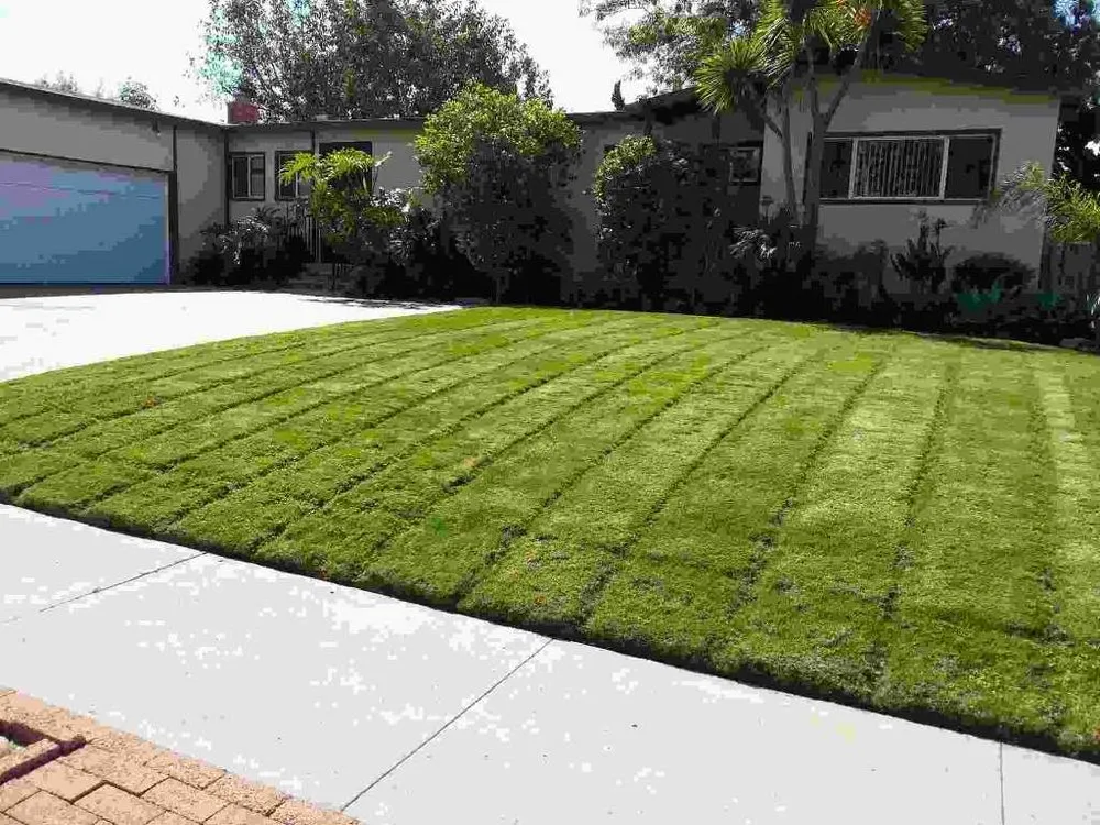 Affordable landscape installation experts serving San Diego, CA - Benito Zamora Construction