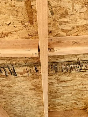 Benitos Gardening & Maintenance Logo