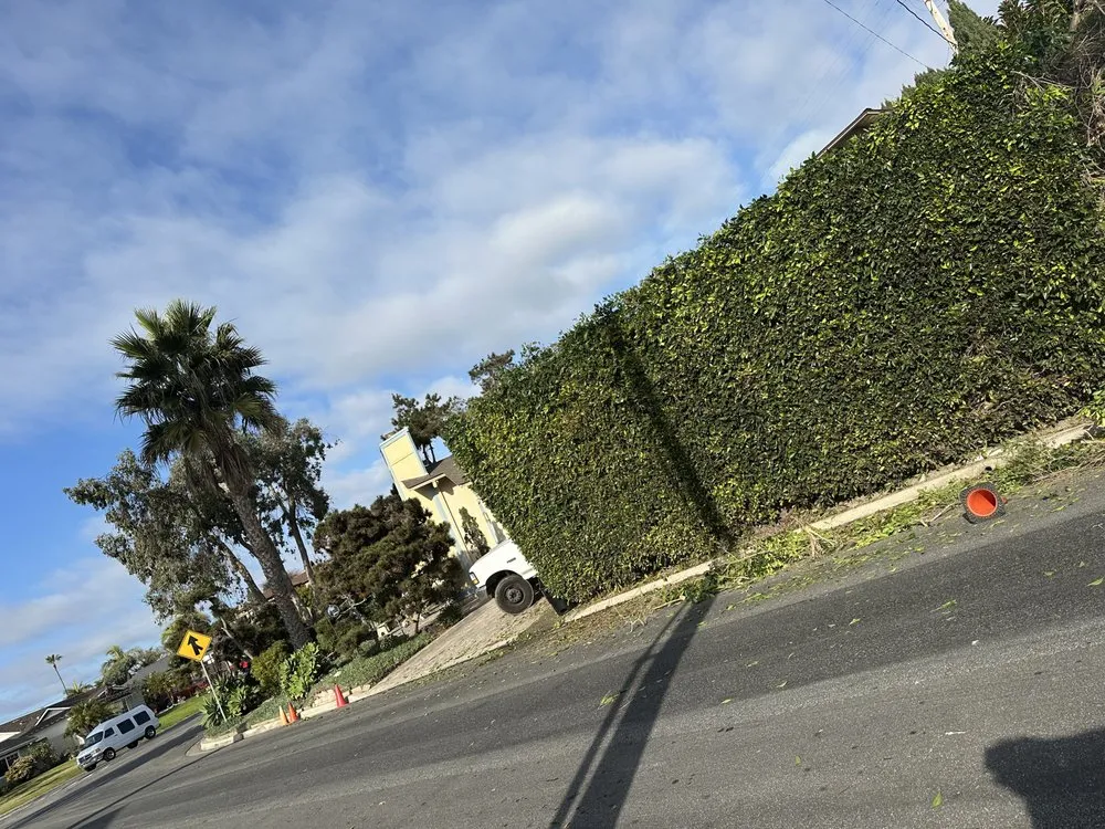 Trusted outdoor landscaping in San Juan Capistrano, CA by Benito's Gardening