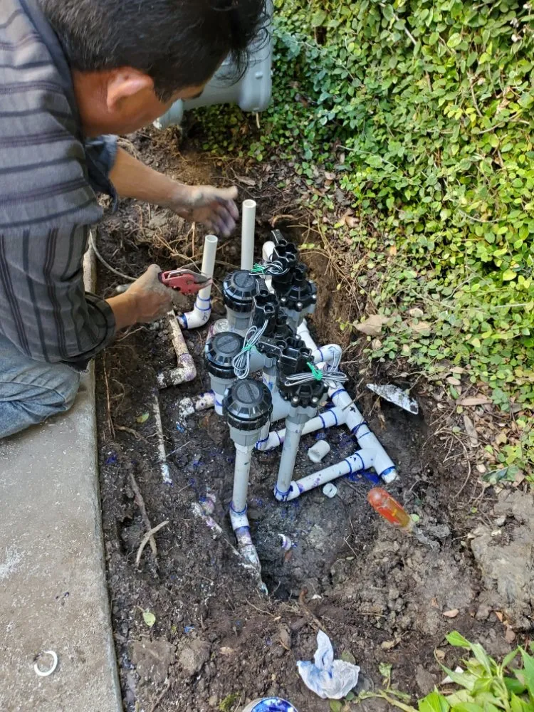 Professional lawn care service experts serving San Juan Capistrano, CA - Benito's Gardening