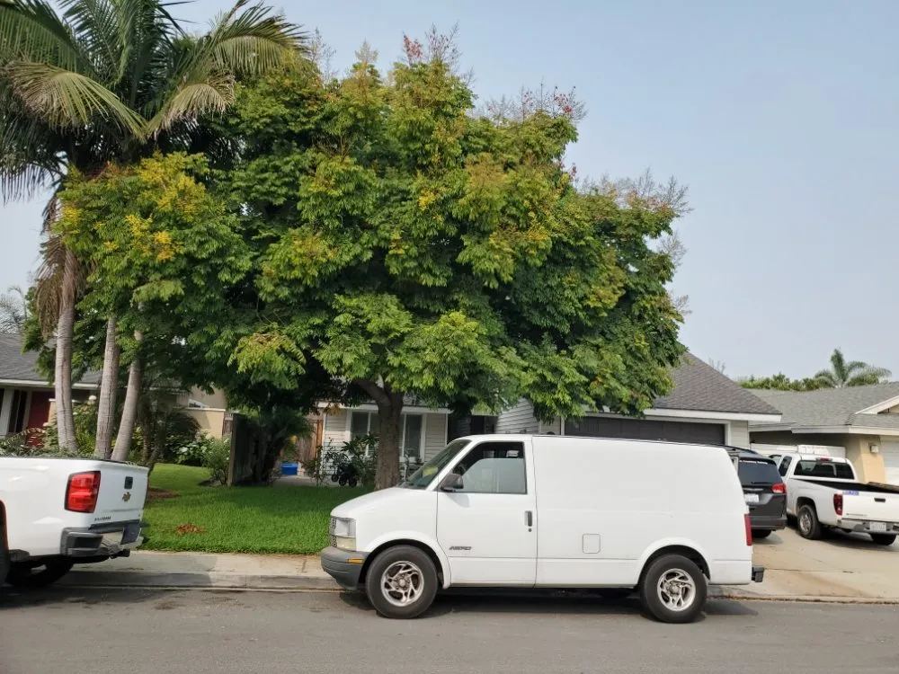 Reliable landscape design experts serving San Juan Capistrano, CA - Benito's Gardening