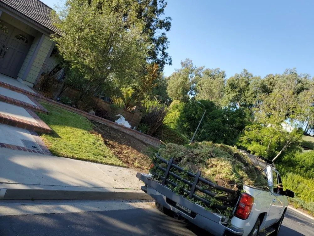 Reliable landscape installation experts serving San Juan Capistrano, CA - Benito's Gardening