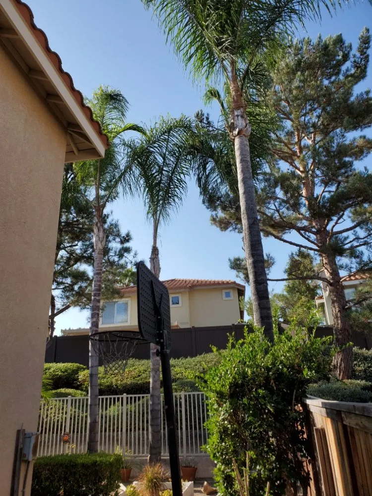 Reliable landscape design experts serving San Juan Capistrano, CA - Benito's Gardening