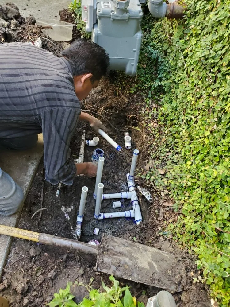 Affordable lawn care service experts serving San Juan Capistrano, CA - Benito's Gardening