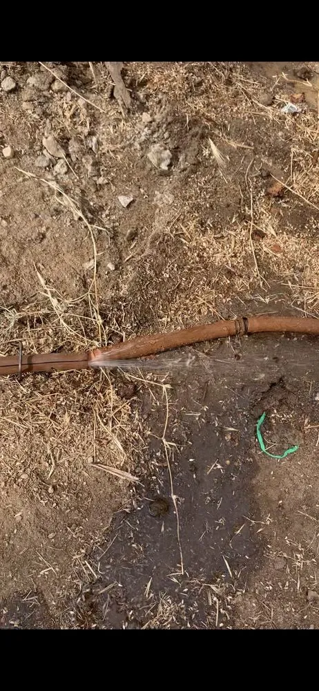 Affordable landscape design in San Juan Capistrano, CA by Benito's Gardening