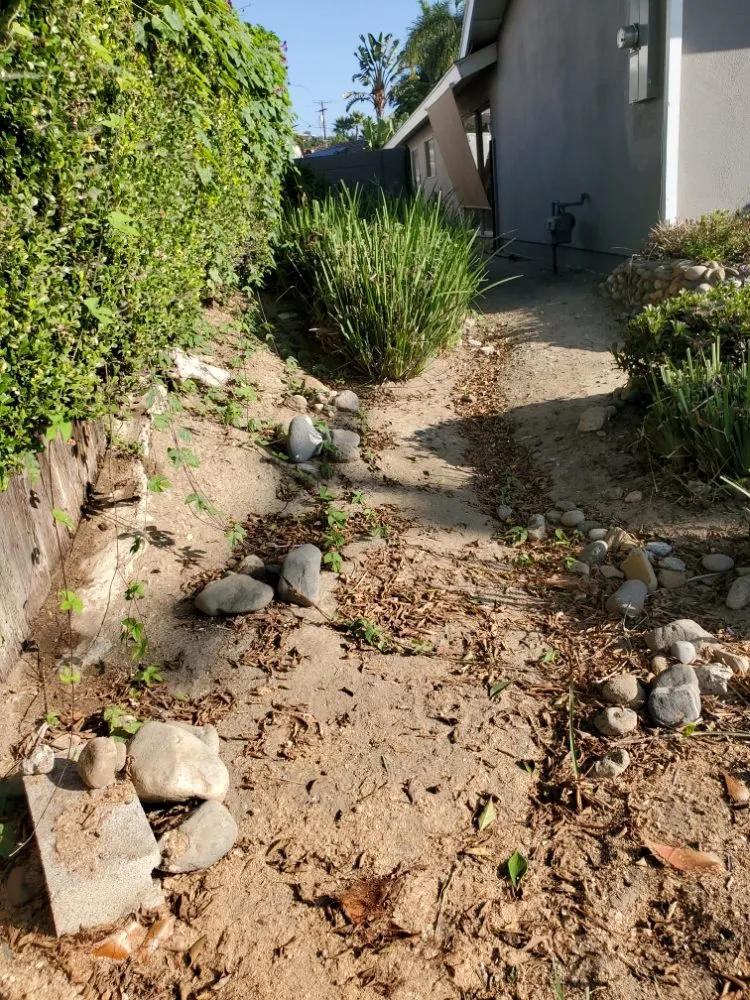 Trusted garden landscaping in San Juan Capistrano, CA by Benito's Gardening