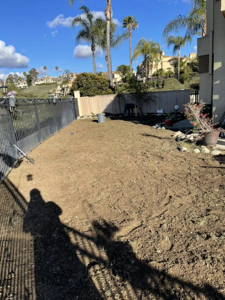 Expert landscaping services in San Juan Capistrano, CA by Benito's Gardening