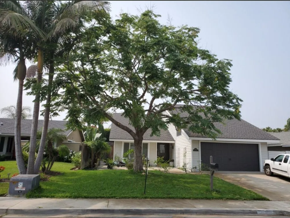 Top-rated landscaping services in San Juan Capistrano, CA - Benito's Gardening