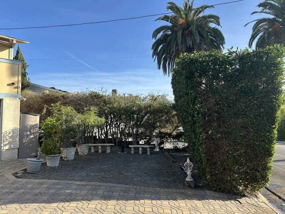 Top-rated lawn care service in San Juan Capistrano, CA - Benito's Gardening