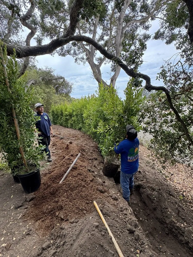 Professional landscape design in Santa Bárbara, CA by Benito's Landscape