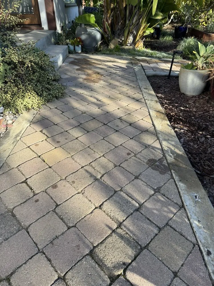 Expert yard maintenance for outdoor upgrades across Santa Bárbara, CA - Benito's Landscape