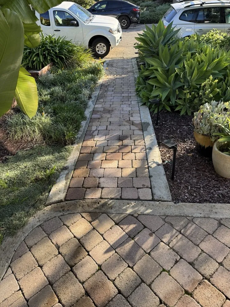 Local yard cleanup service in Santa Bárbara, CA by Benito's Landscape