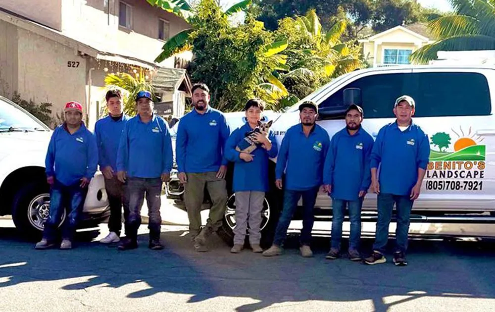 Professional landscaping services in Santa Bárbara, CA by Benito's Landscape