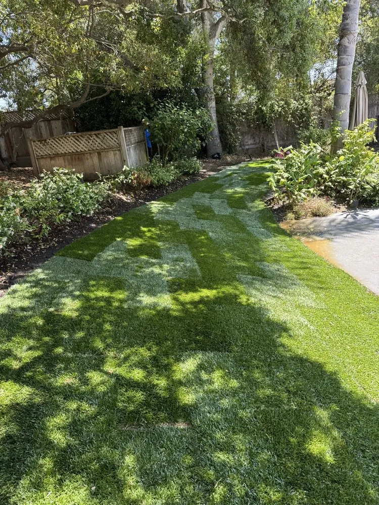 Professional outdoor landscaping in Santa Bárbara, CA - Benito's Landscape