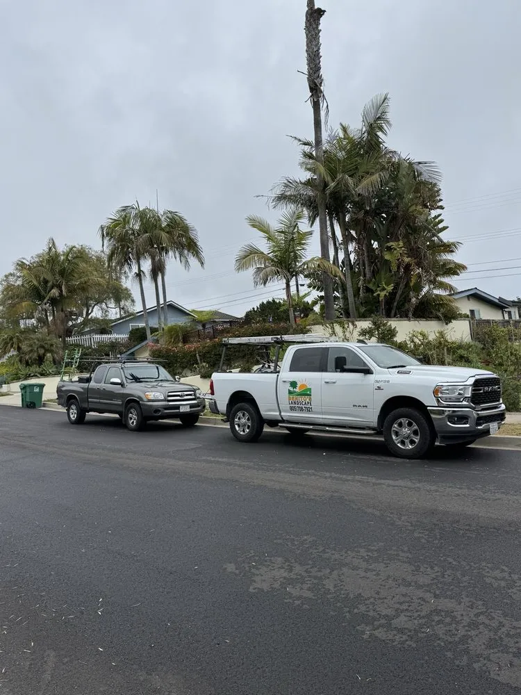 Trusted landscape installation in Santa Bárbara, CA by Benito's Landscape