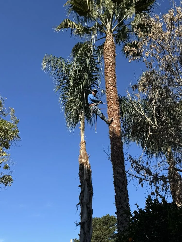 Top-rated residential landscaping for residential properties in Santa Bárbara, CA by Benito's Landscape