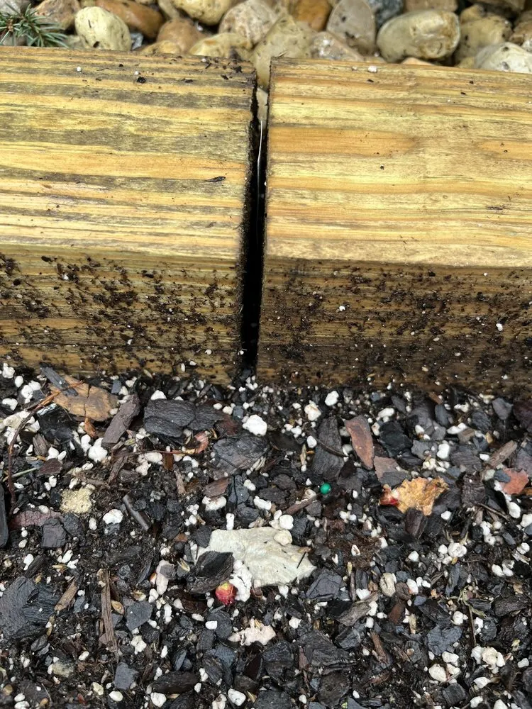 Expert yard cleanup service in Westmont, IL by Benito's Landscaping