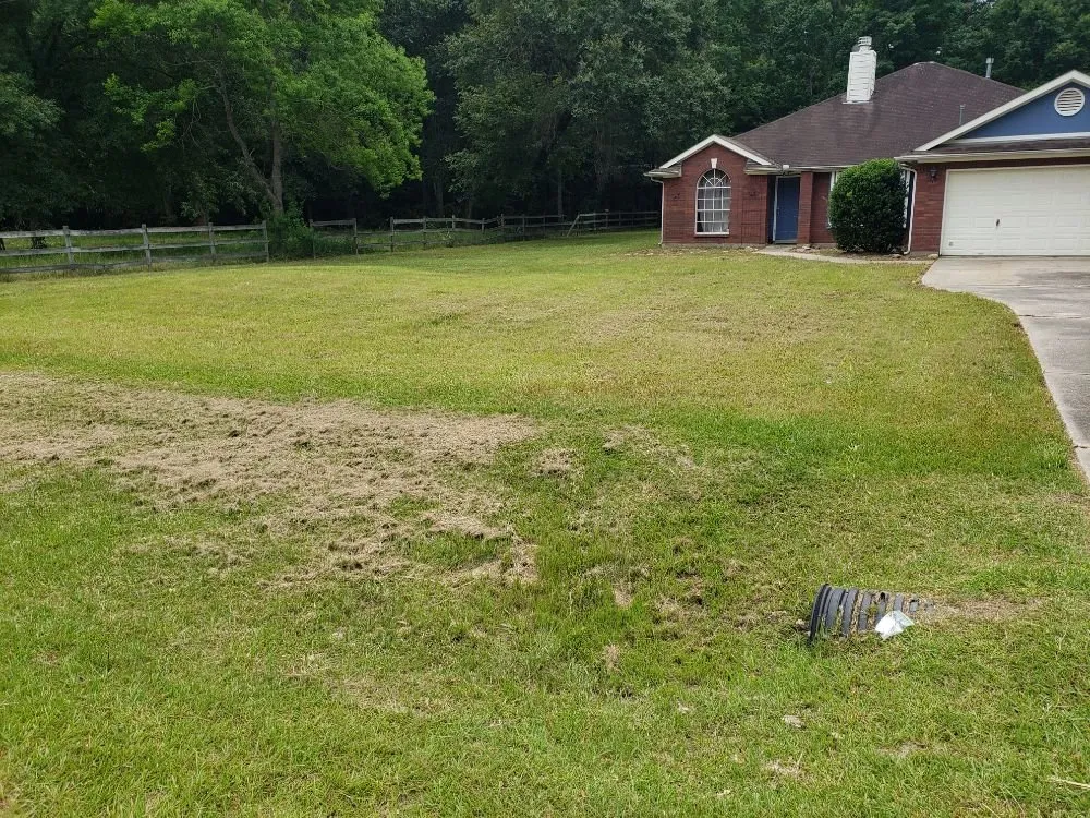 Affordable lawn mowing service in Porter, TX by Benito's Lawn Service