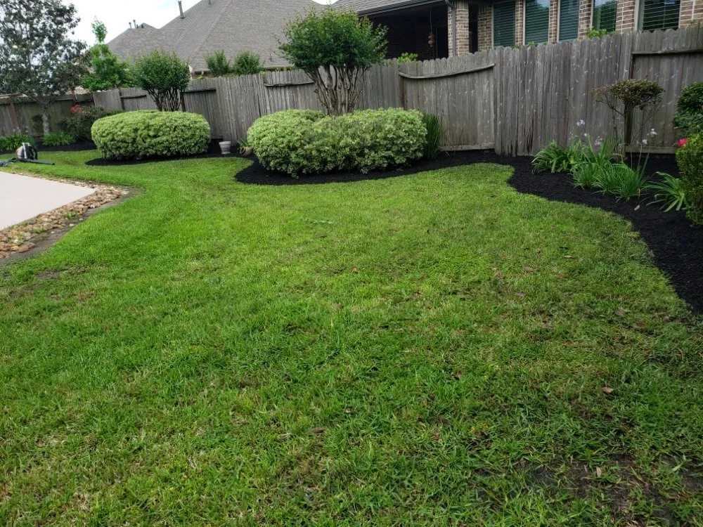 Top-rated lawn mowing service experts serving Porter, TX - Benito's Lawn Service