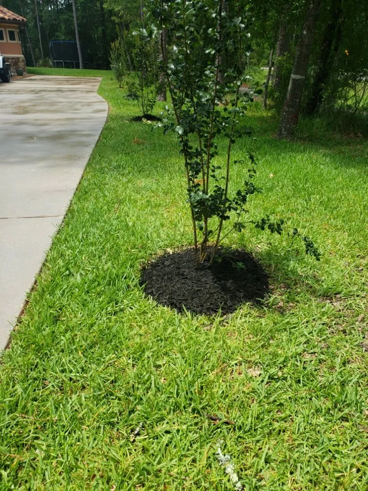 Affordable landscape installation for homes in Porter, TX by Benito's Lawn Service