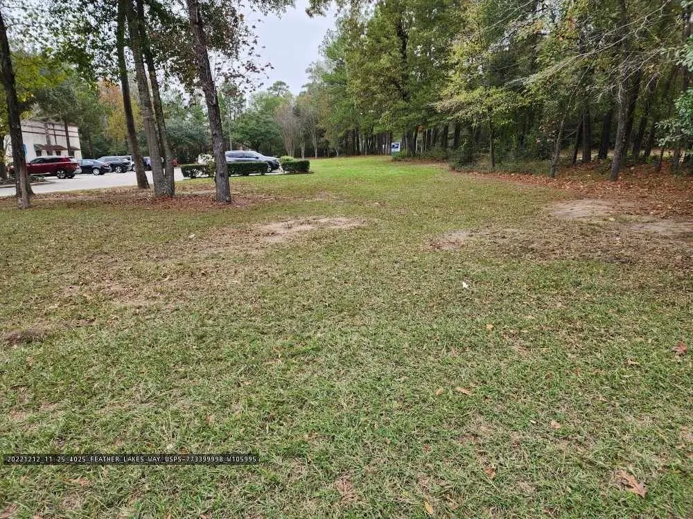 Local landscape design in Porter, TX - Benito's Lawn Service