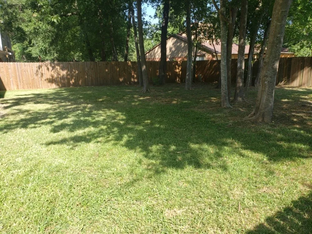 Affordable yard maintenance for beautiful yards in Porter, TX by Benito's Lawn Service