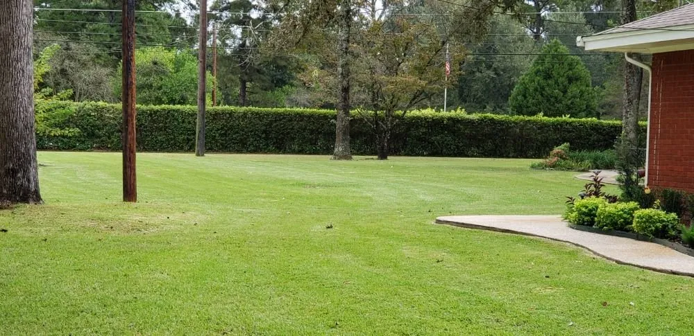 Reliable outdoor landscaping for outdoor upgrades in Porter, TX by Benito's Lawn Service