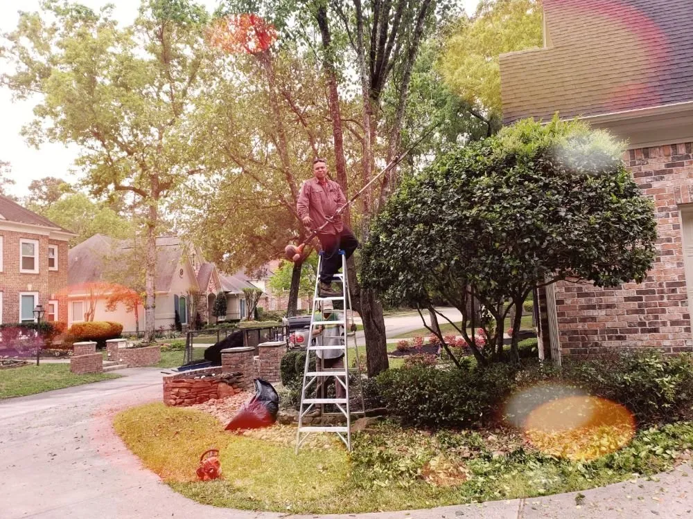 Reliable lawn mowing service experts serving Porter, TX - Benito's Lawn Service