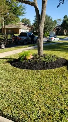 Benito's Lawn Service Logo