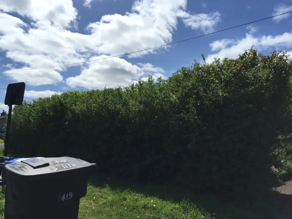 Custom landscaping services for year-round maintenance across Shelton, WA - Benito's Yard Work