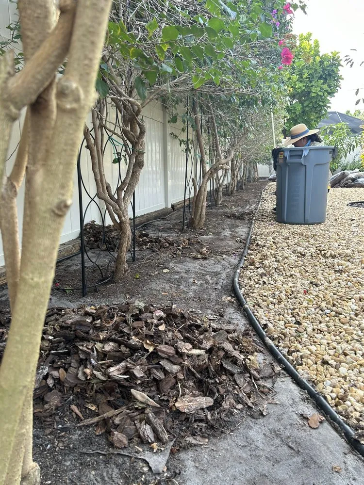 Reliable landscape design in Bradenton, FL - Benitrees Lawn Care Services