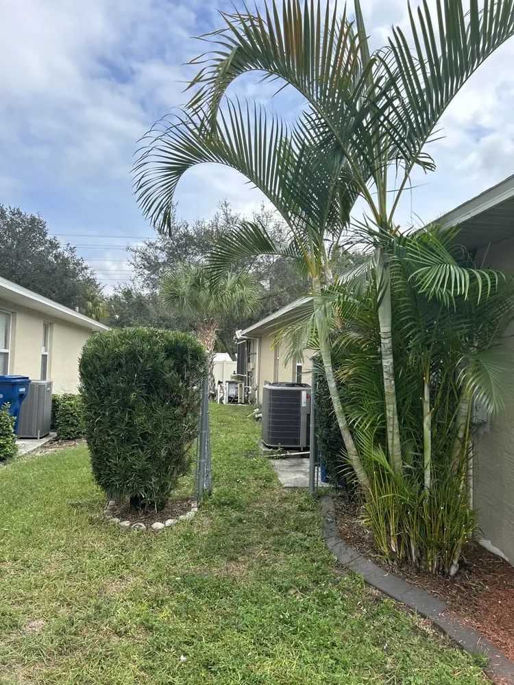 Trusted landscaping services in Bradenton, FL - Benitrees Lawn Care Services