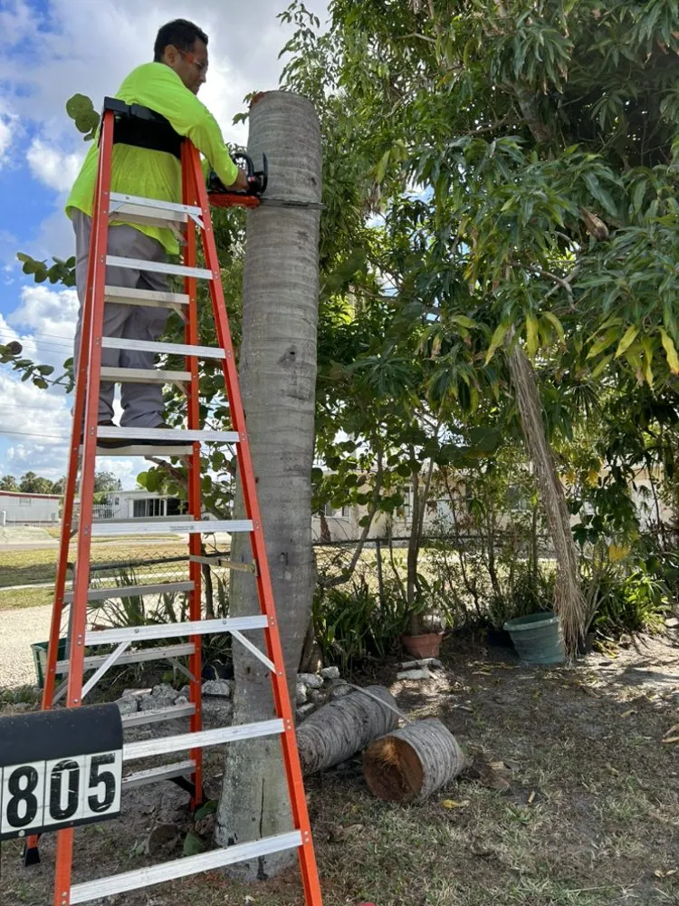 Custom yard cleanup service for residential properties in Bradenton, FL by Benitrees Lawn Care Services