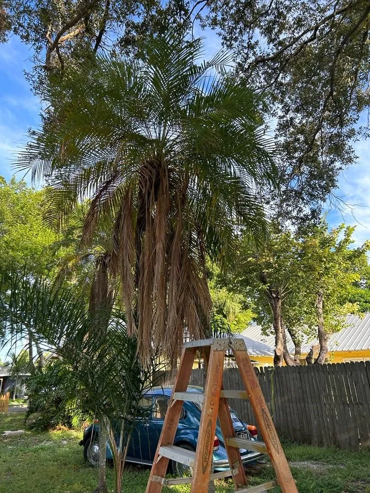 Affordable landscape installation in Bradenton, FL by Benitrees Lawn Care Services