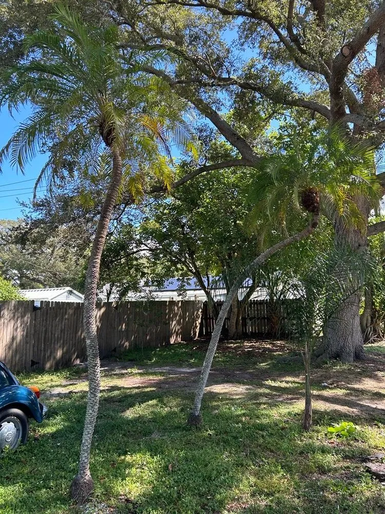 Trusted landscape design experts serving Bradenton, FL - Benitrees Lawn Care Services