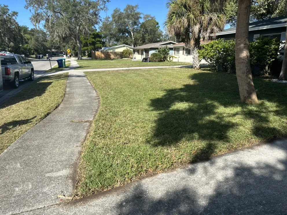 Affordable landscaping services in Bradenton, FL by Benitrees Lawn Care Services