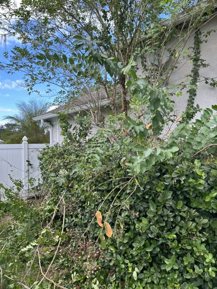 Custom landscaping services in Bradenton, FL by Benitrees Lawn Care Services