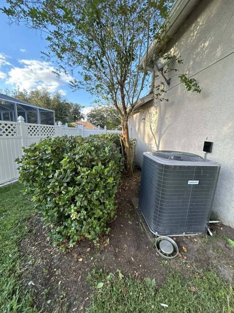 Local residential landscaping in Bradenton, FL - Benitrees Lawn Care Services