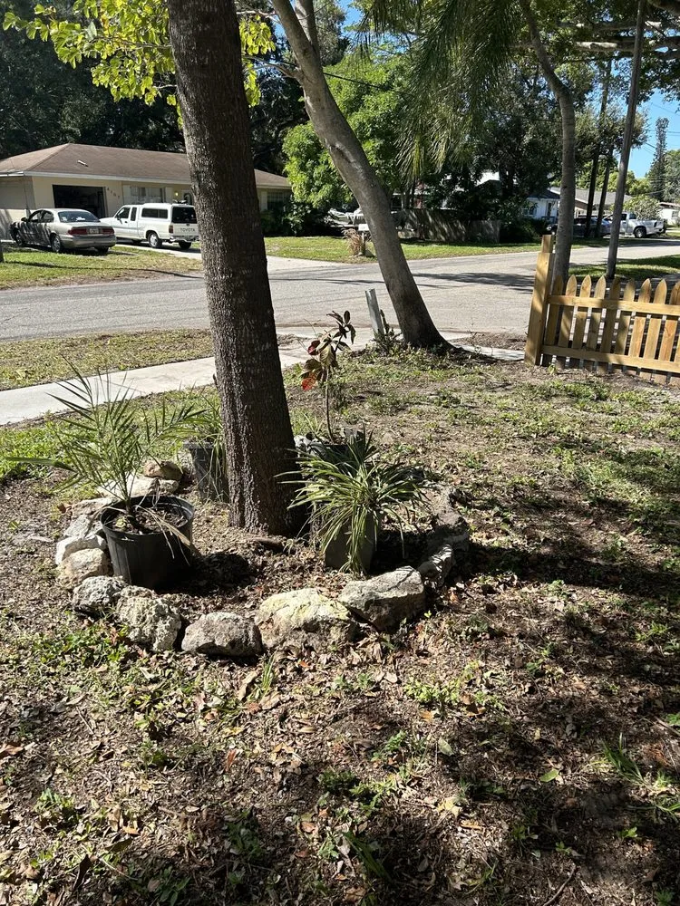 Trusted yard maintenance near you in Bradenton, FL by Benitrees Lawn Care Services