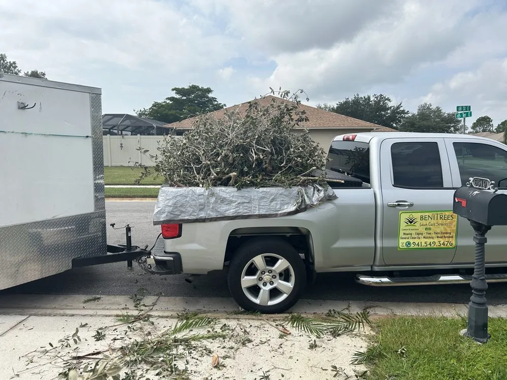 Custom outdoor landscaping in Bradenton, FL by Benitrees Lawn Care Services