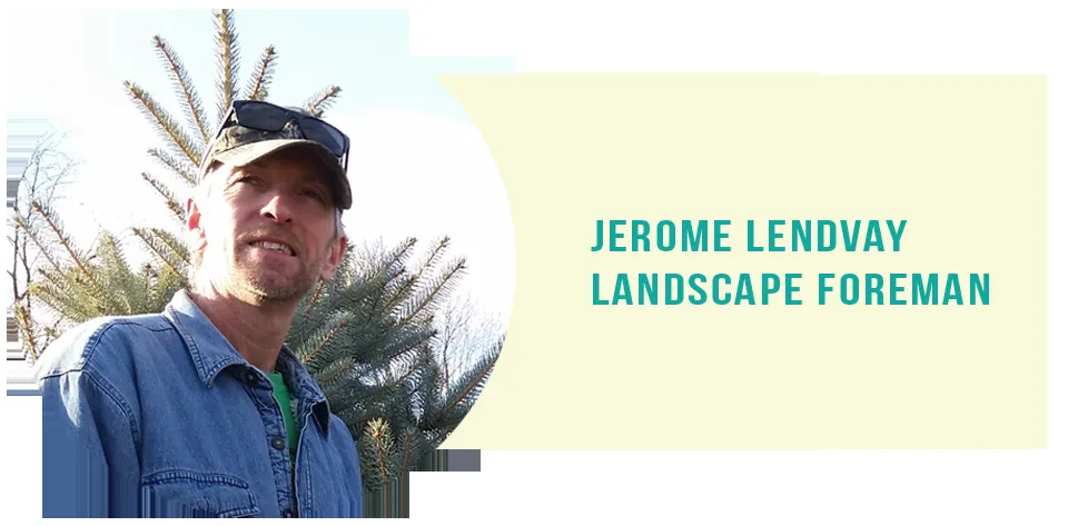 Affordable garden landscaping in New Paltz, NY - Benjamin and Sons Landscaping