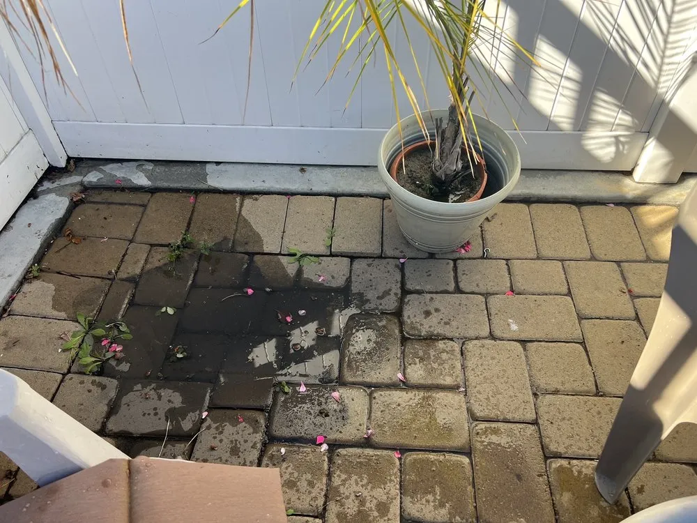 Expert outdoor landscaping in La Habra, CA - Benjamin Construction and Demo